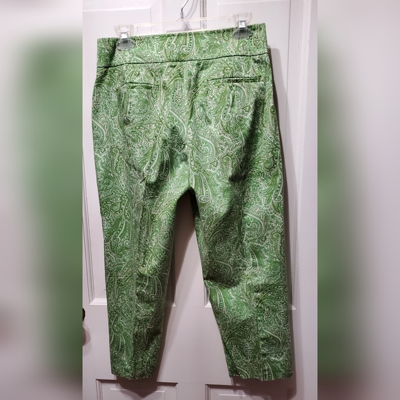 Talbots green paisley "Curvy" w/ vent pants sz 6P - Picture 4 of 9